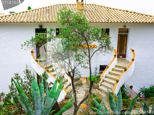 Image of landscape with agave on a background of the house