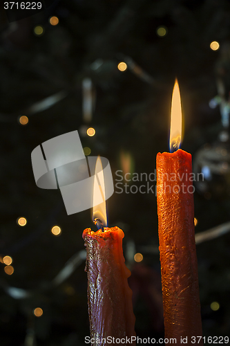 Image of Candles in front of the Christmas tree