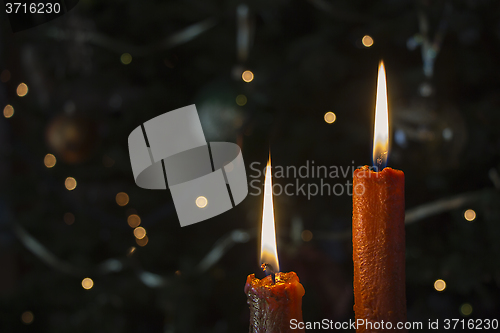 Image of Candles in front of the Christmas tree