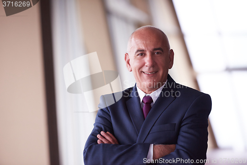 Image of senior business man portrait