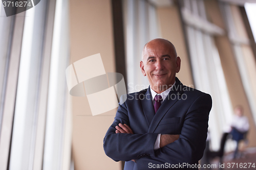 Image of senior business man portrait