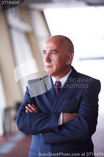 Image of senior business man portrait