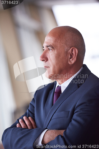 Image of senior business man portrait