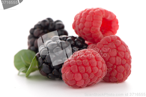 Image of Raspberry with blackberry 