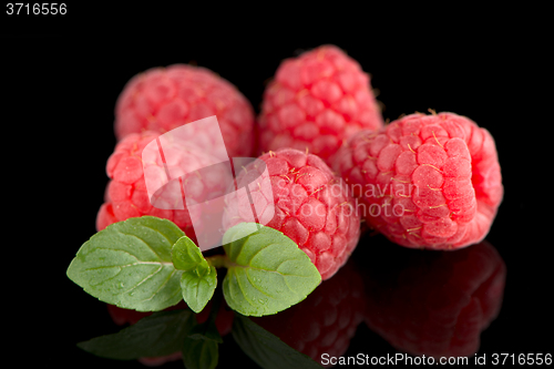 Image of Raspberries with leaves