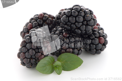 Image of Blackberries with leaves