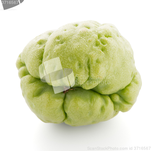 Image of Chayote