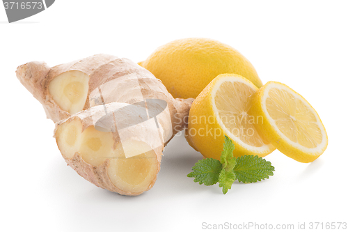 Image of Ginger root on white