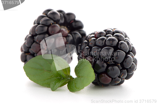 Image of Blackberries with leaves