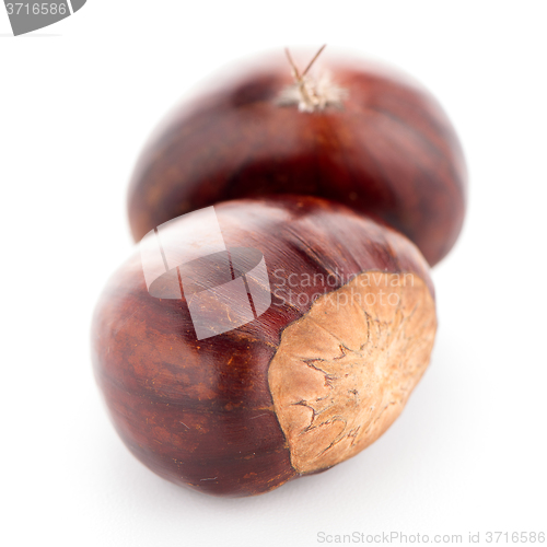 Image of Chestnuts with shell 