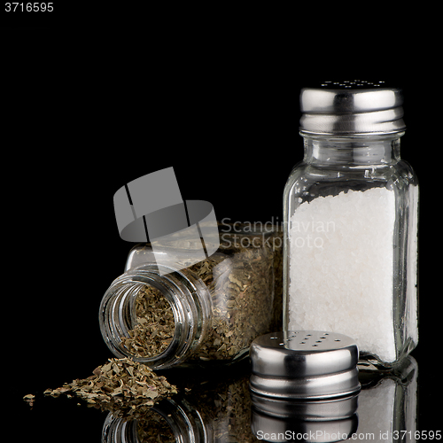 Image of Salt and oregano shakers