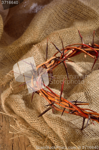 Image of crown made of thorns isolated 