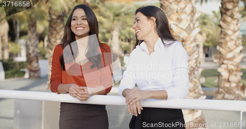 Image of Young women chatting in a tropical urban park