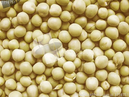Image of Retro looking Green peas vegetable background