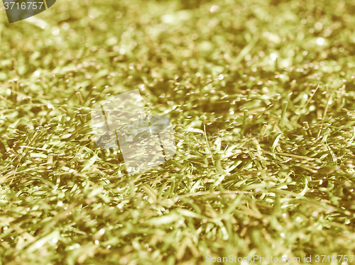 Image of  Artificial meadow vintage