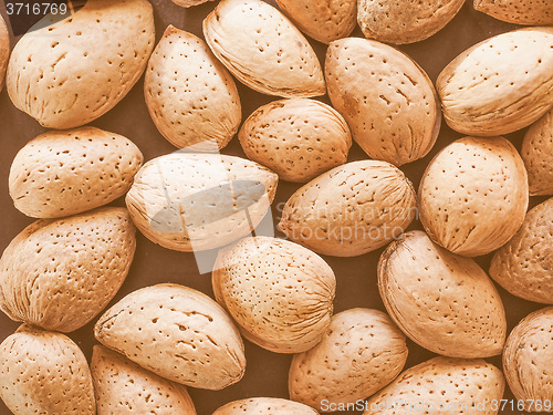 Image of Retro looking Almond fruit