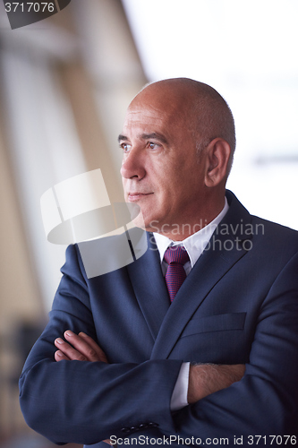 Image of senior business man portrait