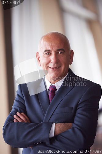 Image of senior business man portrait