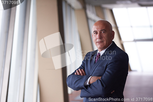 Image of senior business man portrait