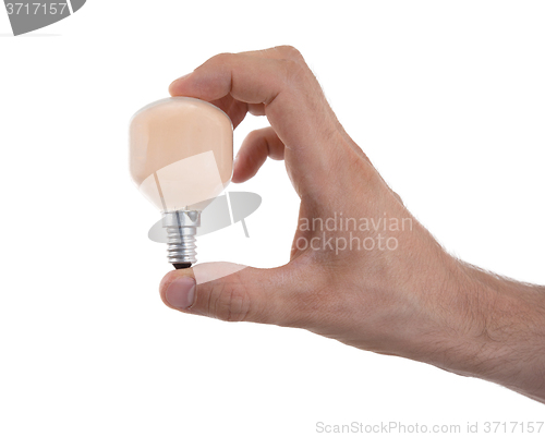 Image of Hand holding an light bulb 