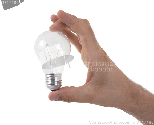 Image of Hand holding an light bulb 