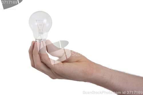 Image of Hand holding an light bulb 