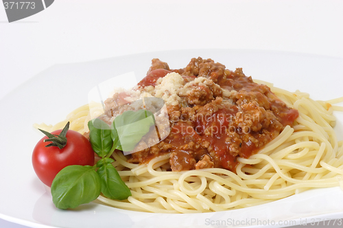 Image of Bolognese 7