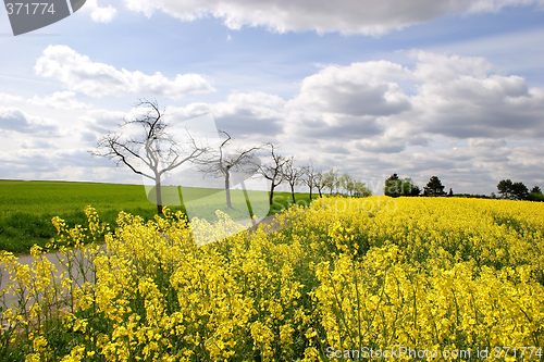 Image of Farmland