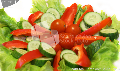 Image of vegetables on the dish  