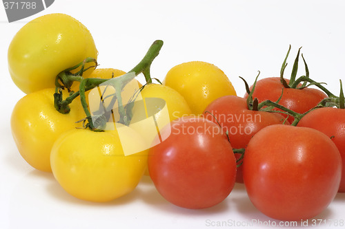 Image of Red and yellow tomatoes