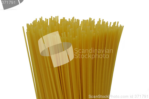 Image of Spaghetti