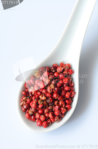 Image of Pink peppercorns close up