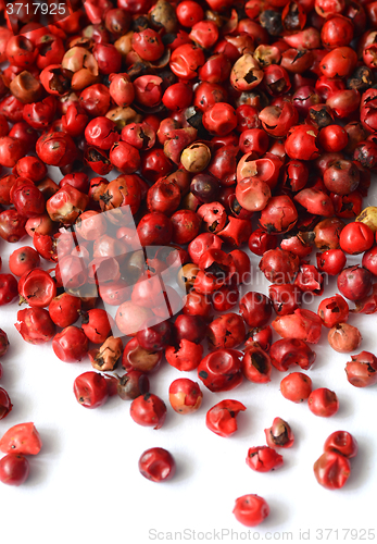 Image of Pink peppercorns close up