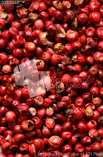 Image of Pink peppercorns close up