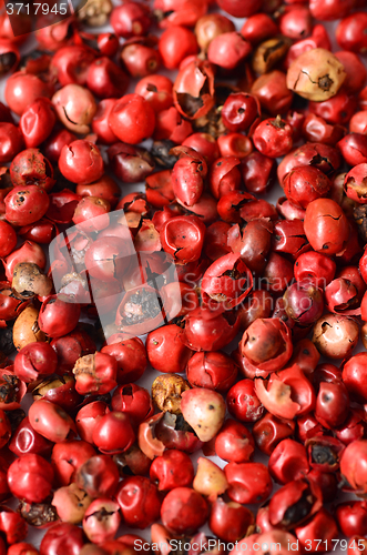 Image of Pink peppercorns close up