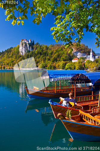 Image of Traditional wooden boats on lake Bled.