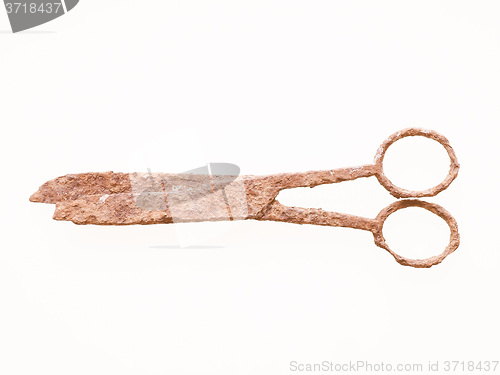 Image of  Rusted scissors vintage