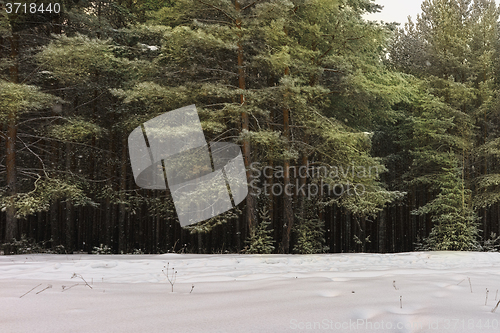 Image of Winter landscape with snow