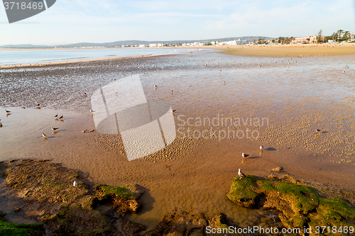 Image of abstract in morocco   ocean wave and   