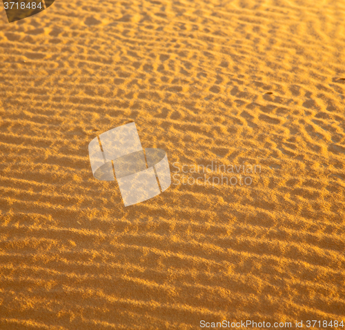 Image of africa the brown sand dune in   sahara morocco desert line