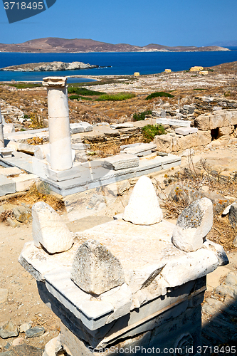 Image of bush   in delos   the   and old ruin site