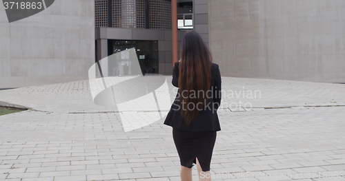 Image of Rear view of a stylish businesswoman