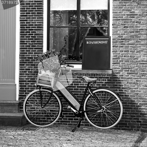 Image of Flower Bicycle