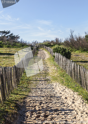 Image of Footpath on the Atlantic Dune in Brittany