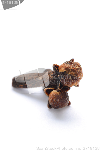 Image of Organic black cloves