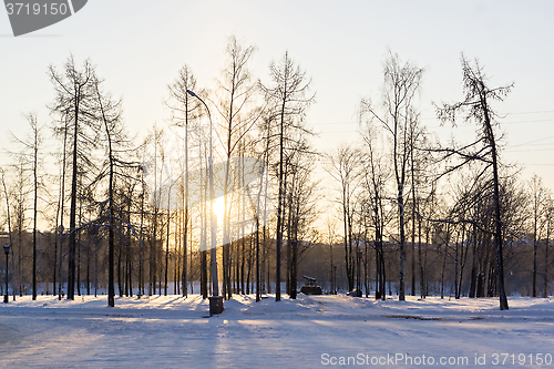 Image of City park in frosty winter day