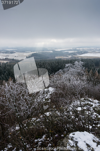 Image of Winter landscpae