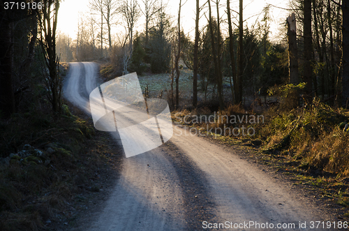 Image of Winding gravel road through a forest