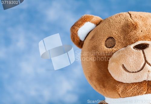 Image of Lovely Teddy Bear