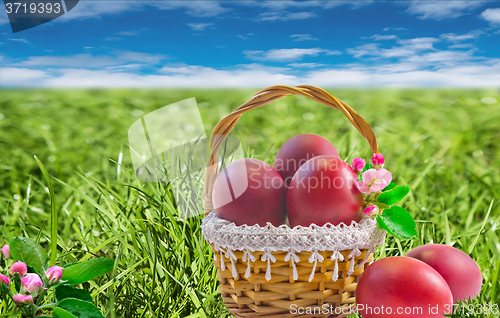Image of Easter eggs in a basket among the green grass.